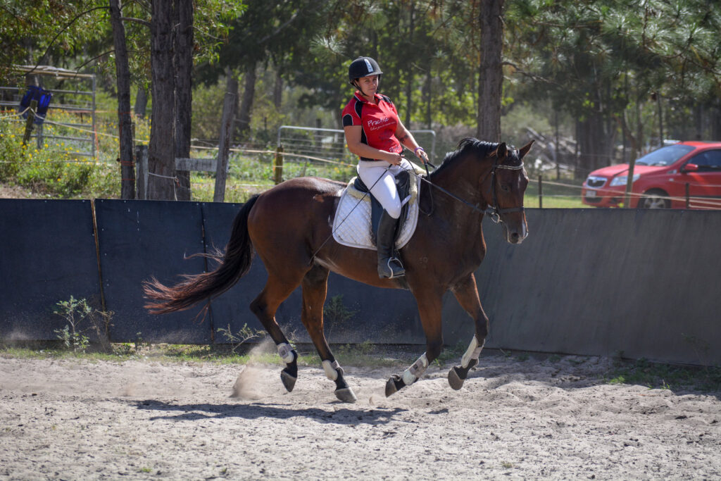 How to Overcome Fear of Cantering in Horseback Riding