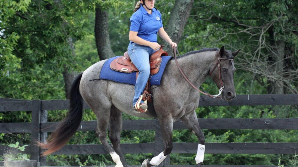 How to Overcome Fear of Cantering in Horseback Riding