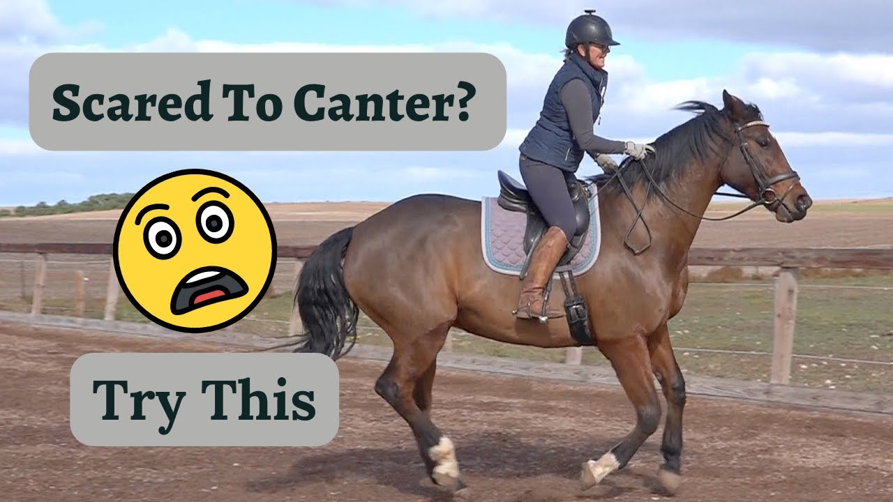 How to Overcome Fear of Cantering in Horseback Riding