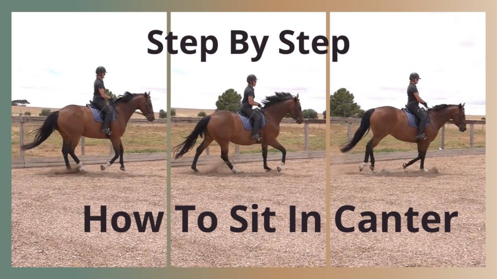 How to Overcome Fear of Cantering in Horseback Riding