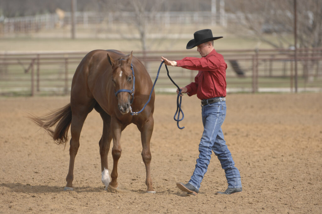 How to Overcome Fear of Horseback Riding