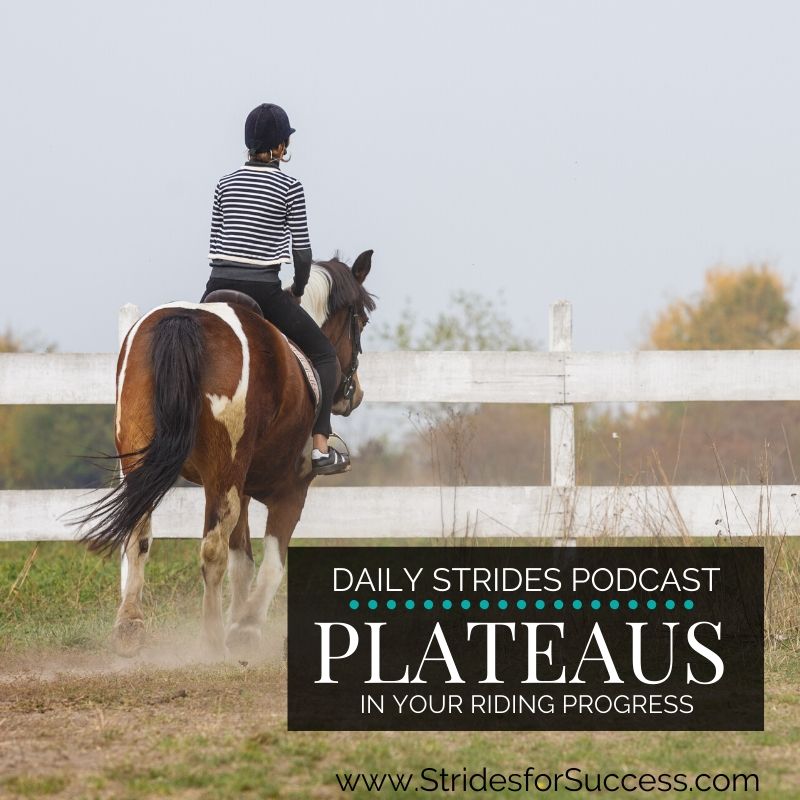 How to Overcome Riding Plateaus in Horseback Riding