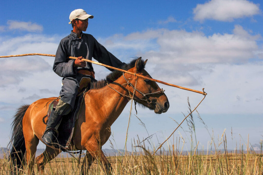 How to Overcome Riding Plateaus in Horseback Riding