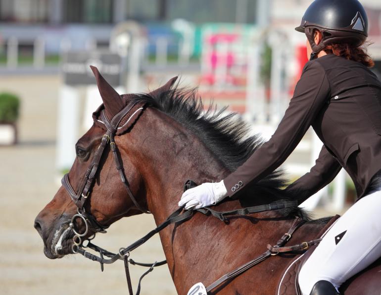 How to Prepare for Horseback Riding Competitions