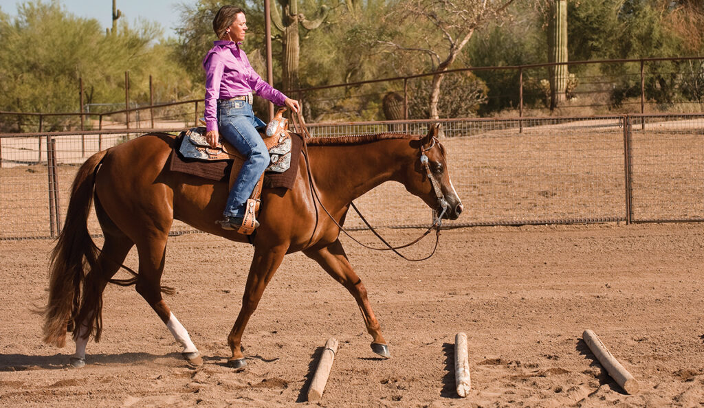 Improving Your Riding Skills: Lessons and Training