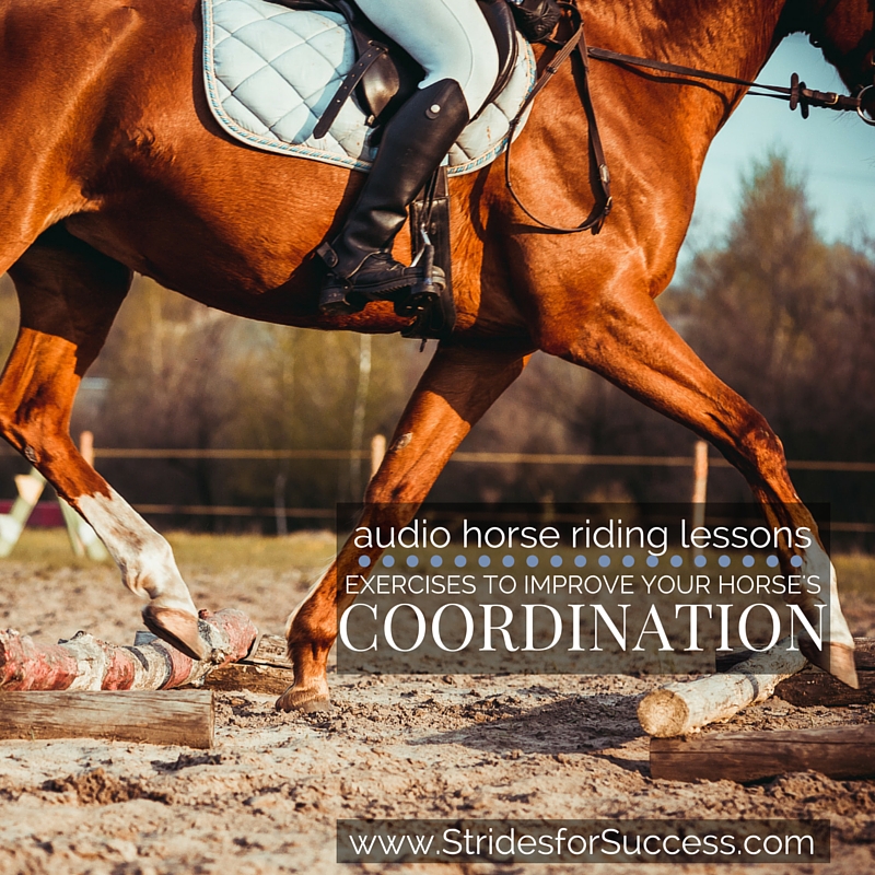 Improving Your Riding Skills: Lessons and Training