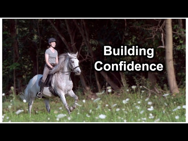 Overcoming Fear and Building Confidence in Horseback Riding