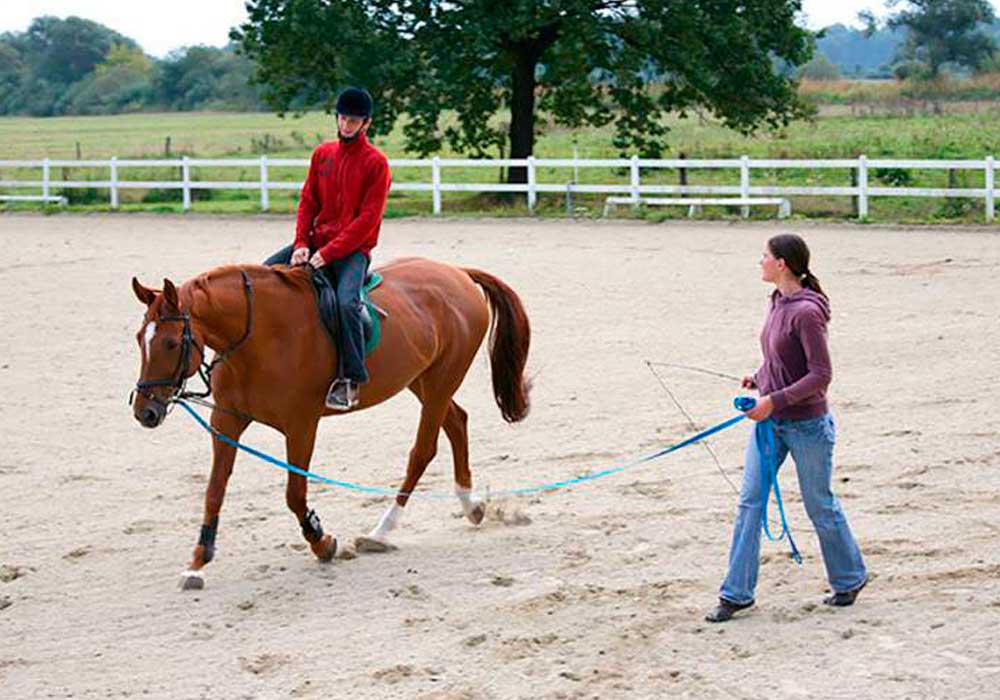 Preparing for Your First Horseback Riding Lesson