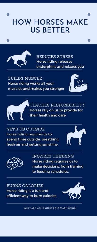 The Benefits of Horseback Riding for Stress Reduction