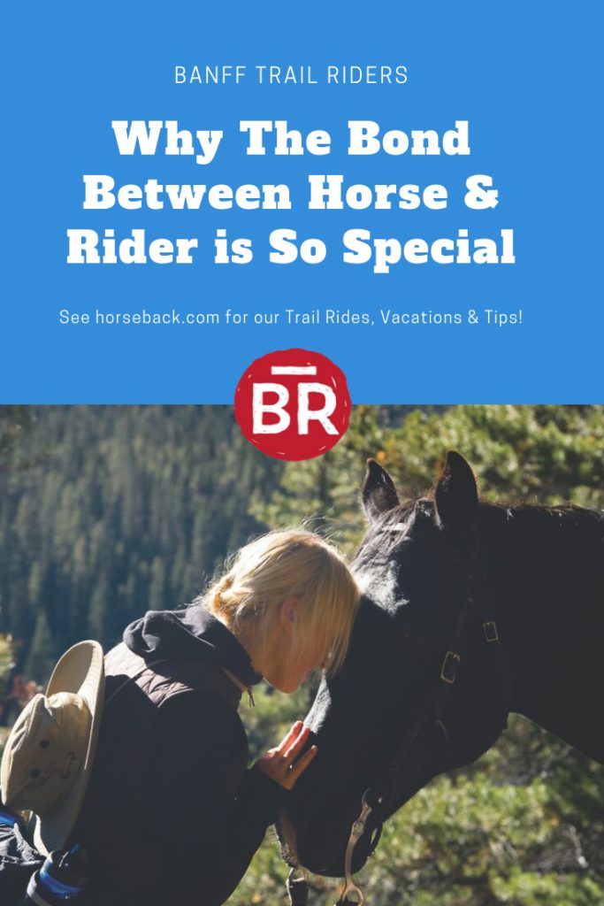 The Bond Between a Rider and their Horse