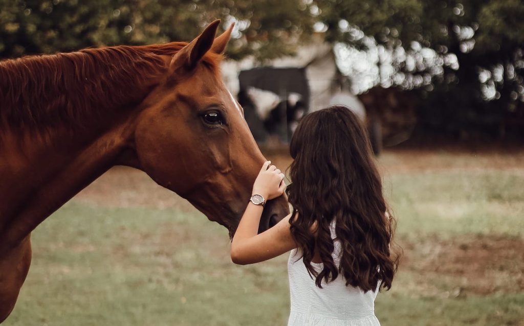 The Bond Between a Rider and their Horse