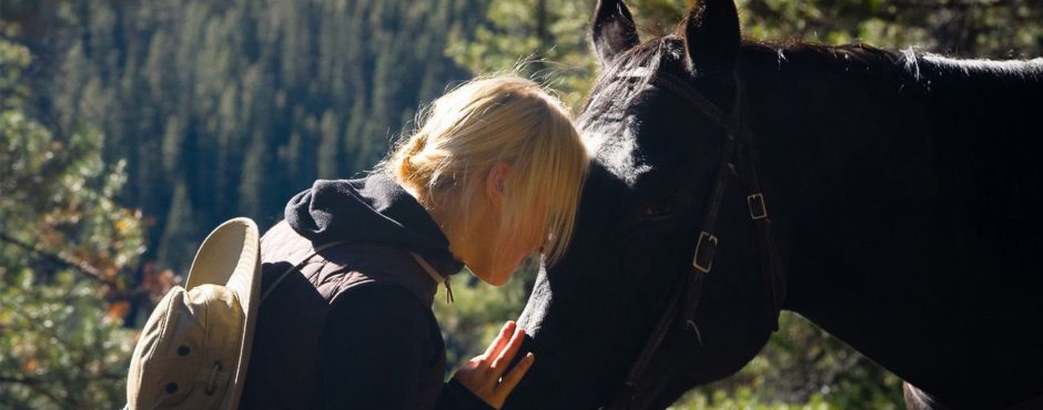 The Bond Between a Rider and their Horse