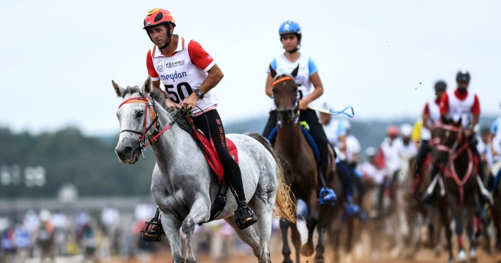 The Connection between Horseback Riding and Endurance Races