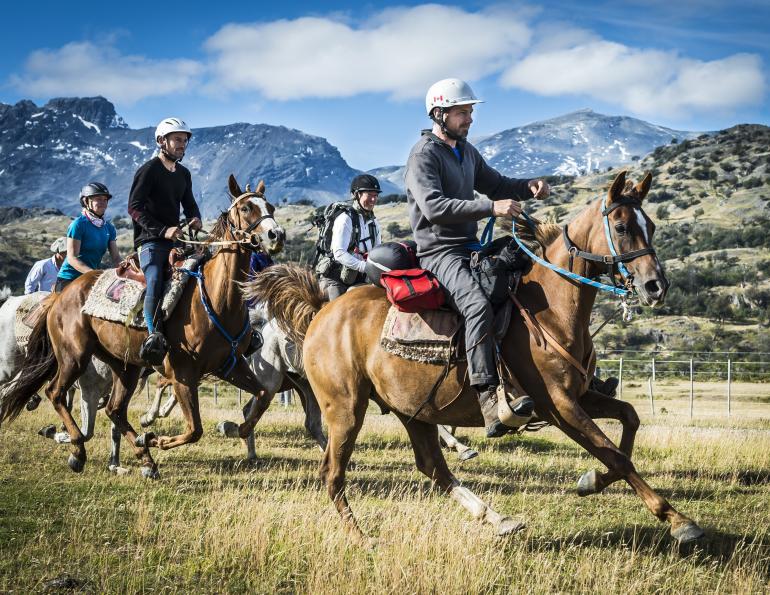 The Connection between Horseback Riding and Endurance Races