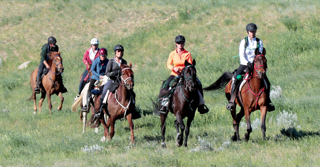 The Connection between Horseback Riding and Endurance Races