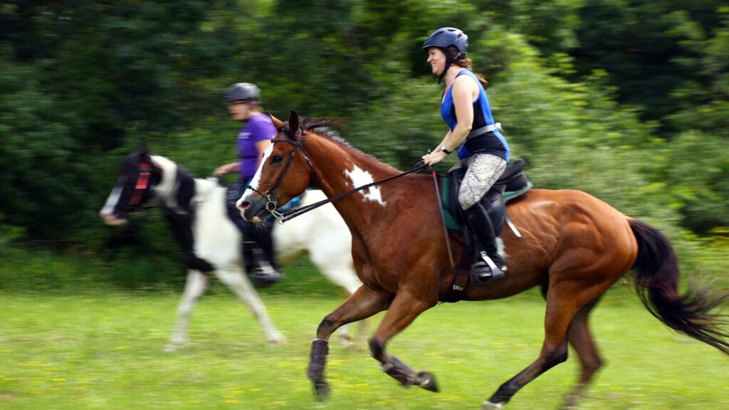 The Connection between Horseback Riding and Endurance Riding