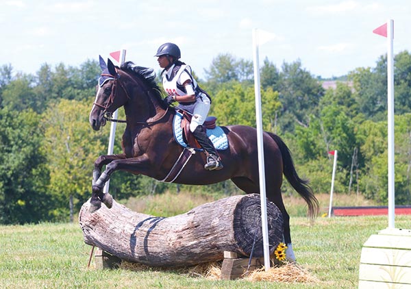 The Connection between Horseback Riding and Eventing