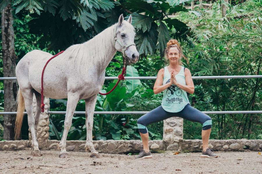 The Connection between Horseback Riding and Meditation