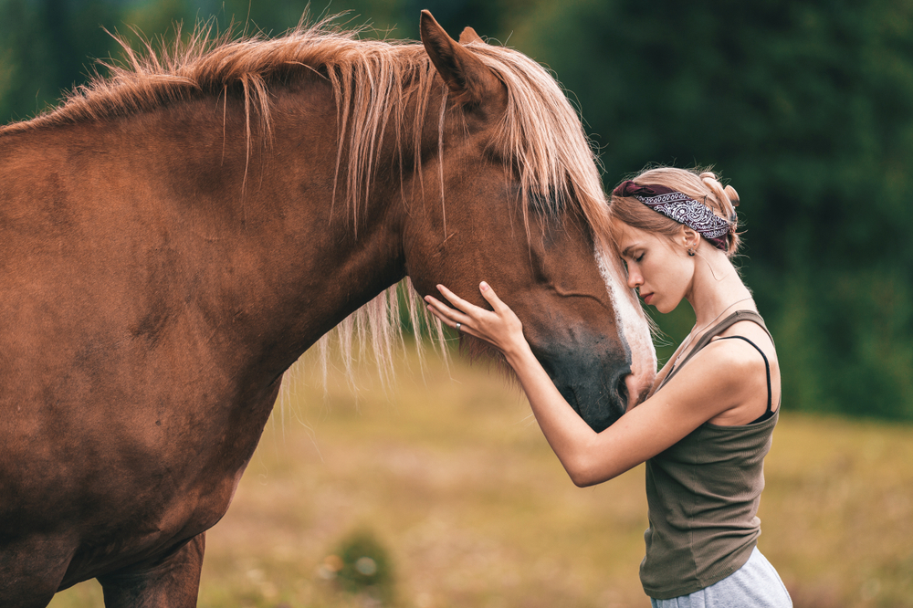 The Connection between Horseback Riding and Meditation