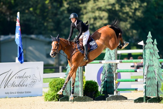 The Connection between Horseback Riding and Meditation