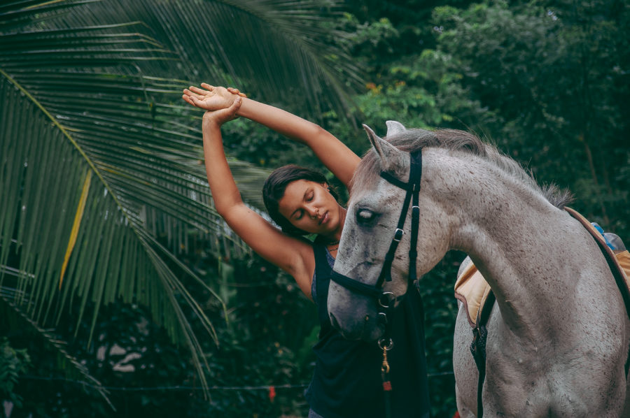 The Connection between Horseback Riding and Meditation