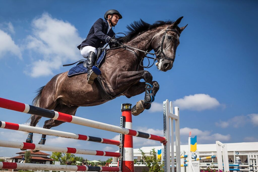 The Different Types of Horseback Riding Competitions