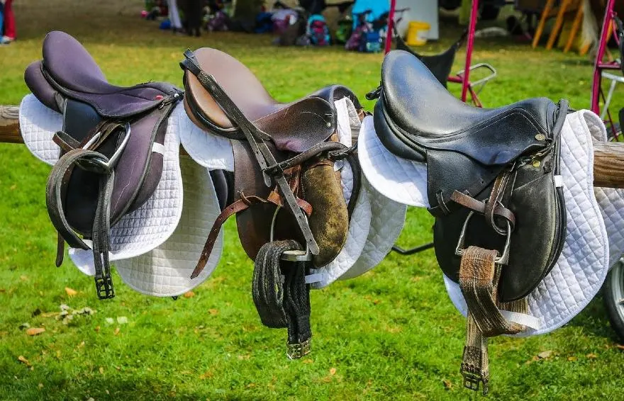 The Different Types of Horseback Riding Saddles