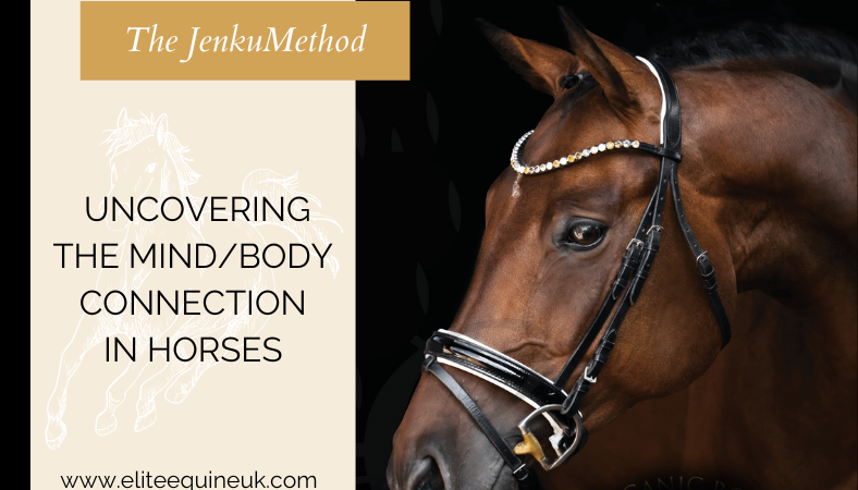 The Impact of Horseback Riding on the Mind-Body Connection