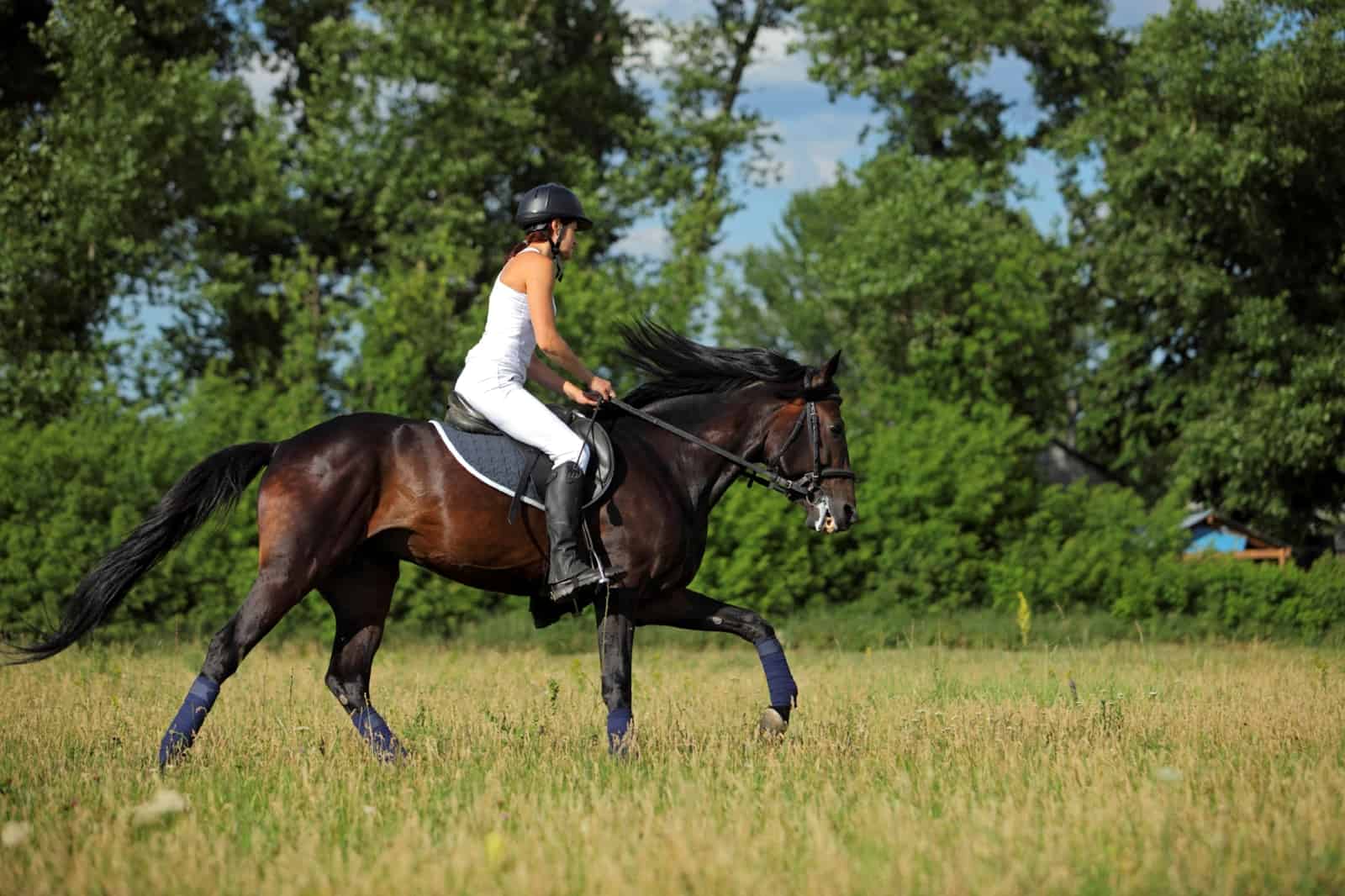 The Importance of Conditioning Exercises for Horseback Riders