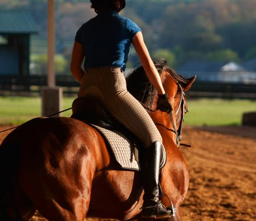 The Importance of Conditioning Exercises for Horseback Riders