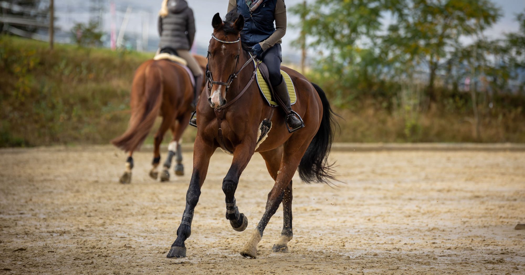 The Importance of Cooling Down after Horseback Riding