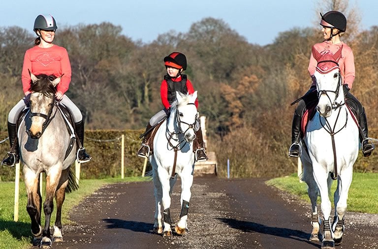 The Importance of Horseback Riding Safety