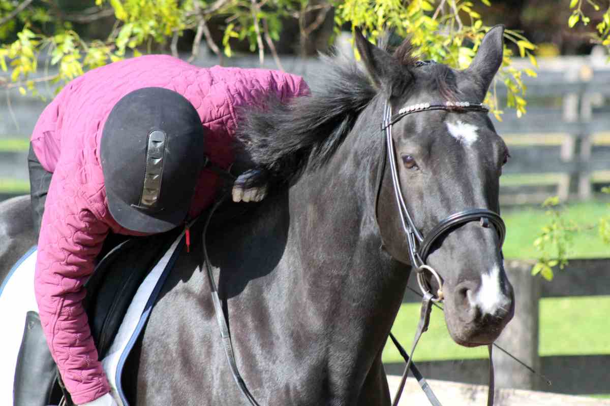 The Importance of Patience in Horseback Riding