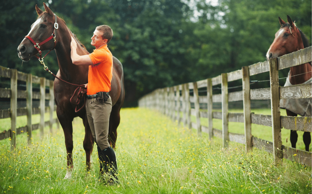 The Importance of Patience in Horseback Riding