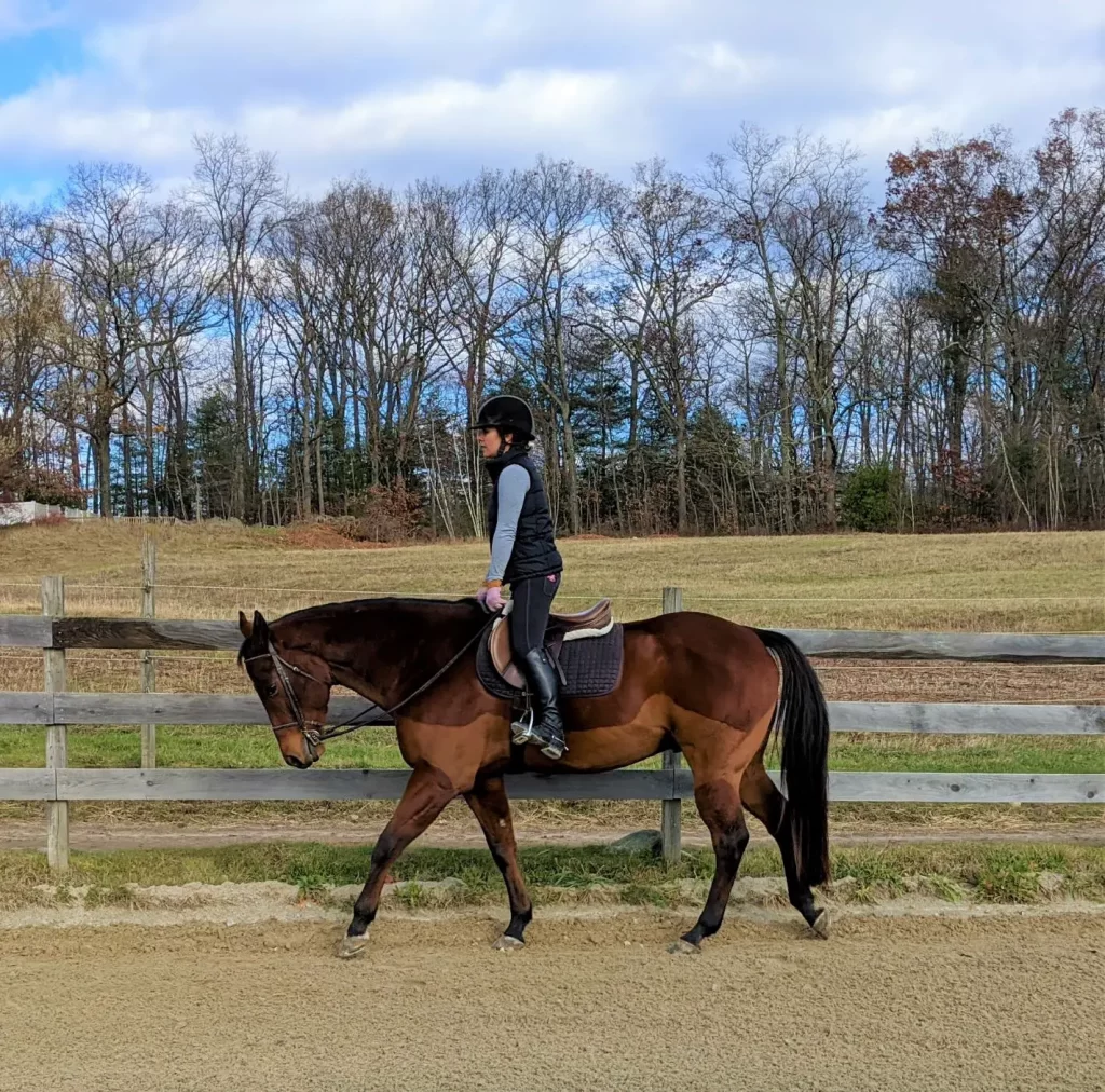 The Importance of Stretching Exercises for Horseback Riders