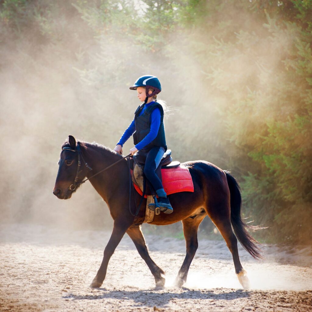 The Importance of Warm-Up Exercises for Horseback Riders