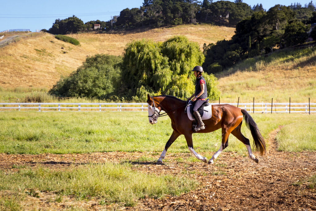 The Importance of Warm-Up Exercises for Horseback Riders