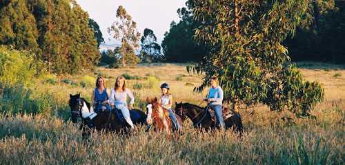 The Joys of Horseback Riding Vacations