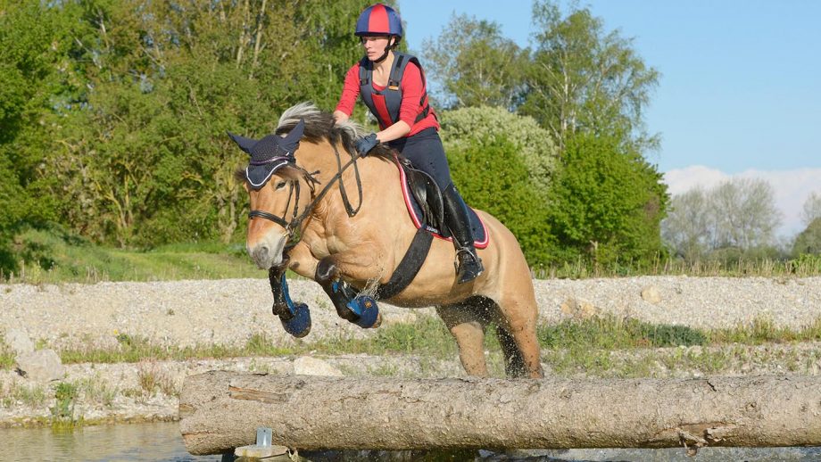 The Role of Breathing Techniques in Horseback Riding