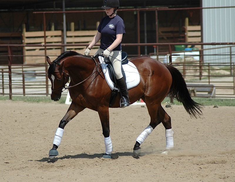 The Role of Breathing Techniques in Horseback Riding