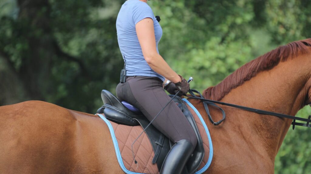 The Role of Communication in Horseback Riding