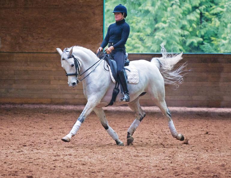 The Role of Flexibility in Horseback Riding