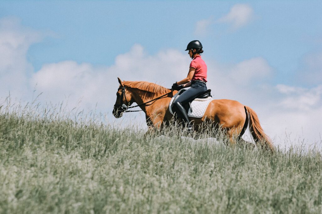 The Role of Horseback Riding in Building Trust