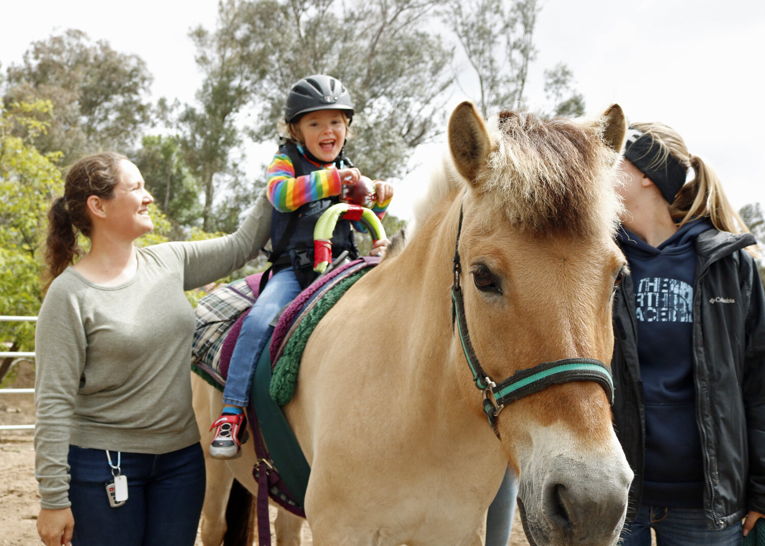 The Role of Horseback Riding in Therapy Programs