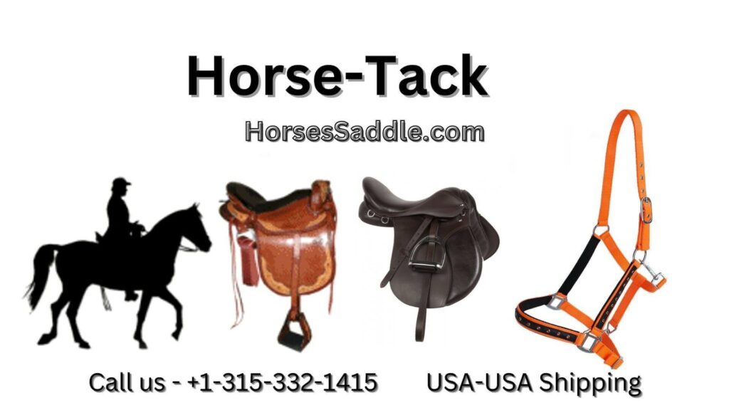 The Role of Tack in Horseback Riding