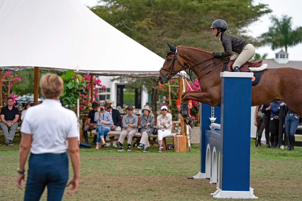 The Role of Visualization in Horseback Riding Competitions