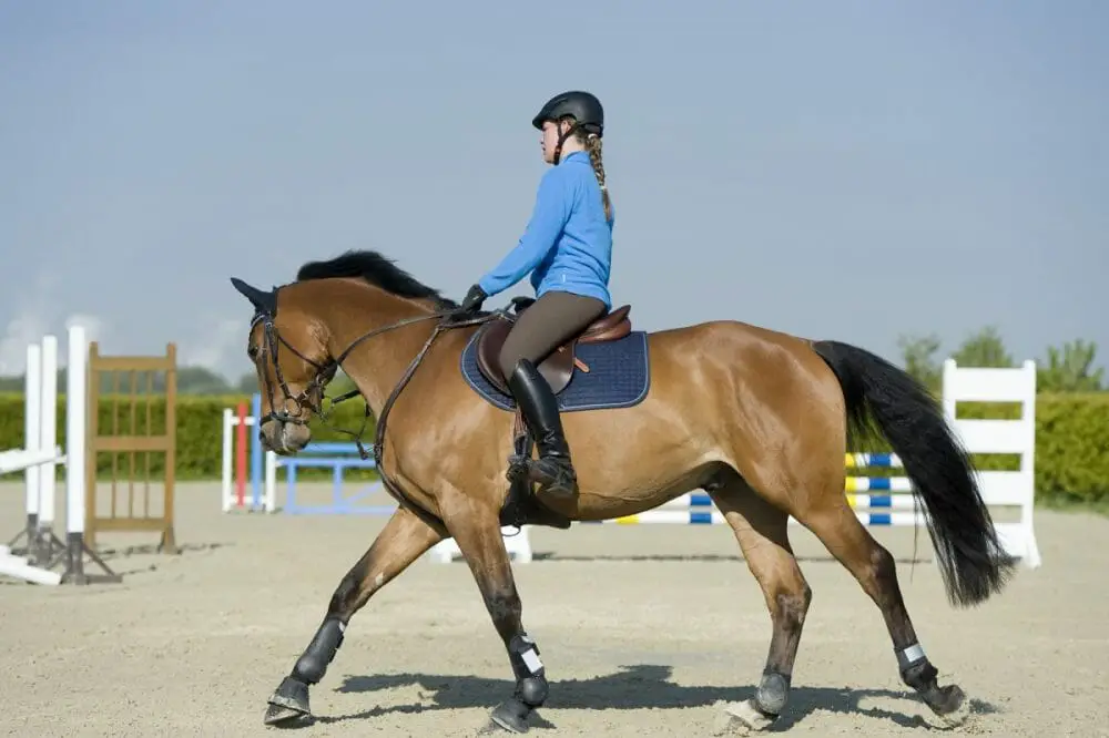 The Role of Visualization in Improving Horseback Riding Skills