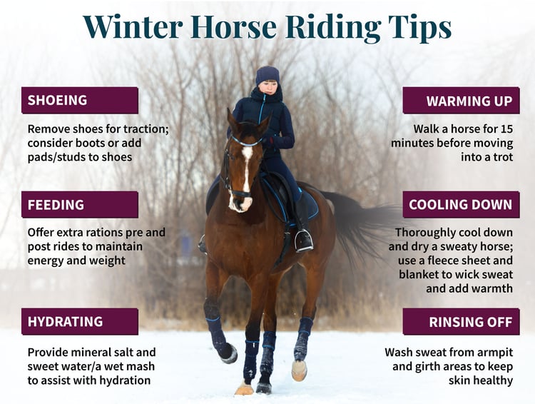 Tips for Horseback Riding in Different Weather Conditions