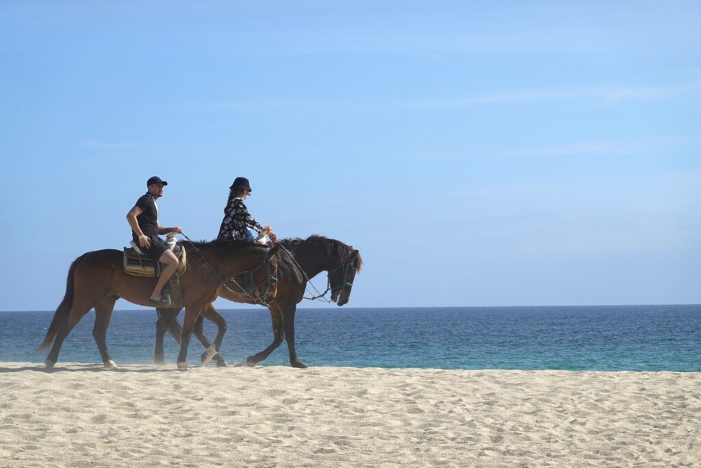 Tips for Horseback Riding on the Beach