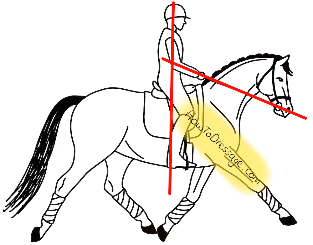 Tips for Maintaining Proper Posture in Horseback Riding